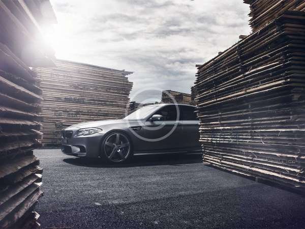 Carbon Fiber/Gloss Black Accessories